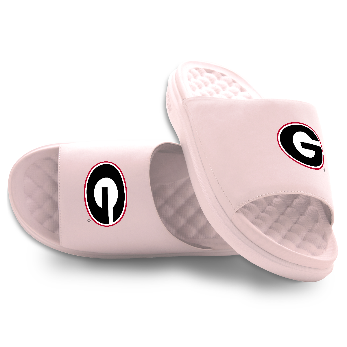 Georgia Bulldogs Primary Motive 5