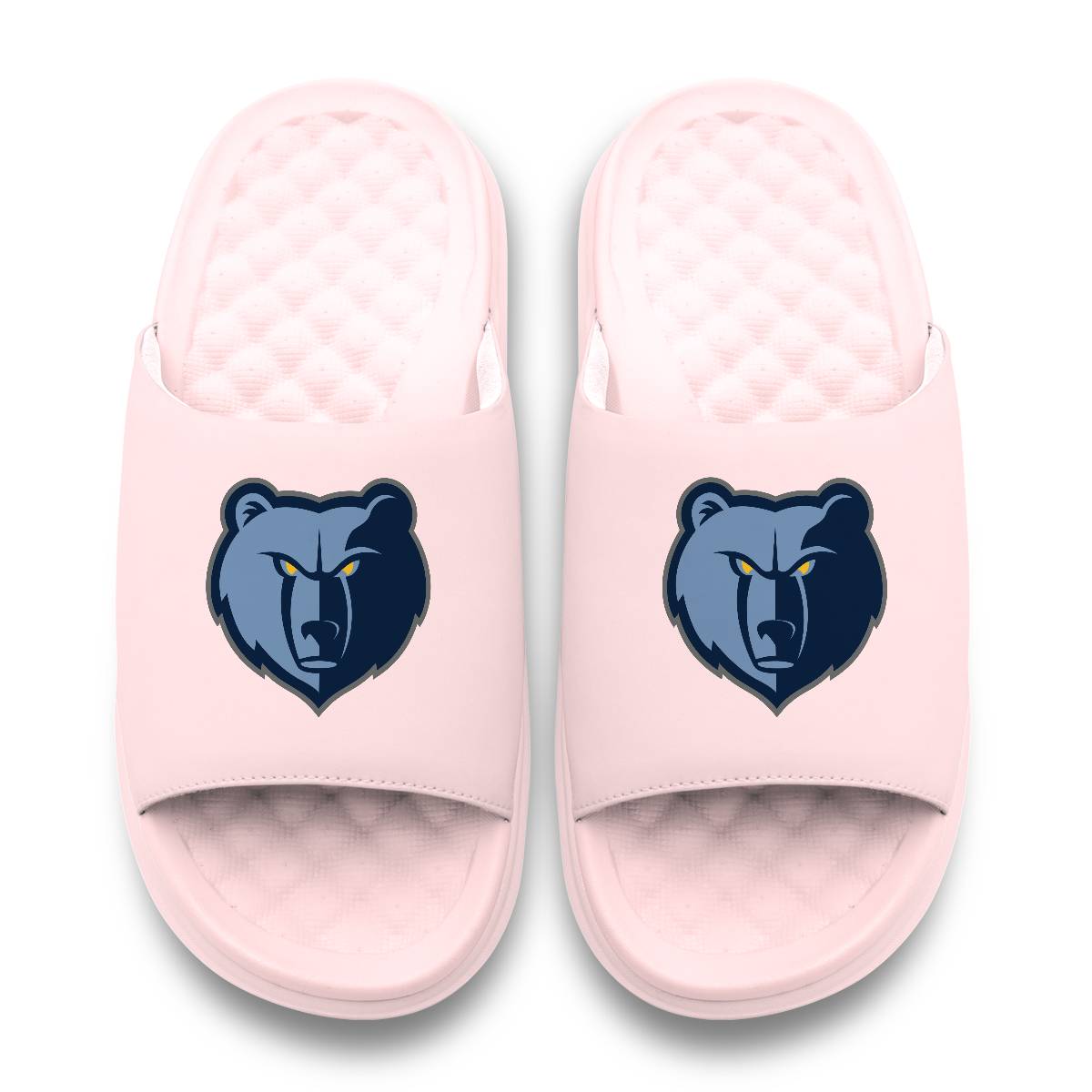Memphis Grizzlies Primary Motive 6