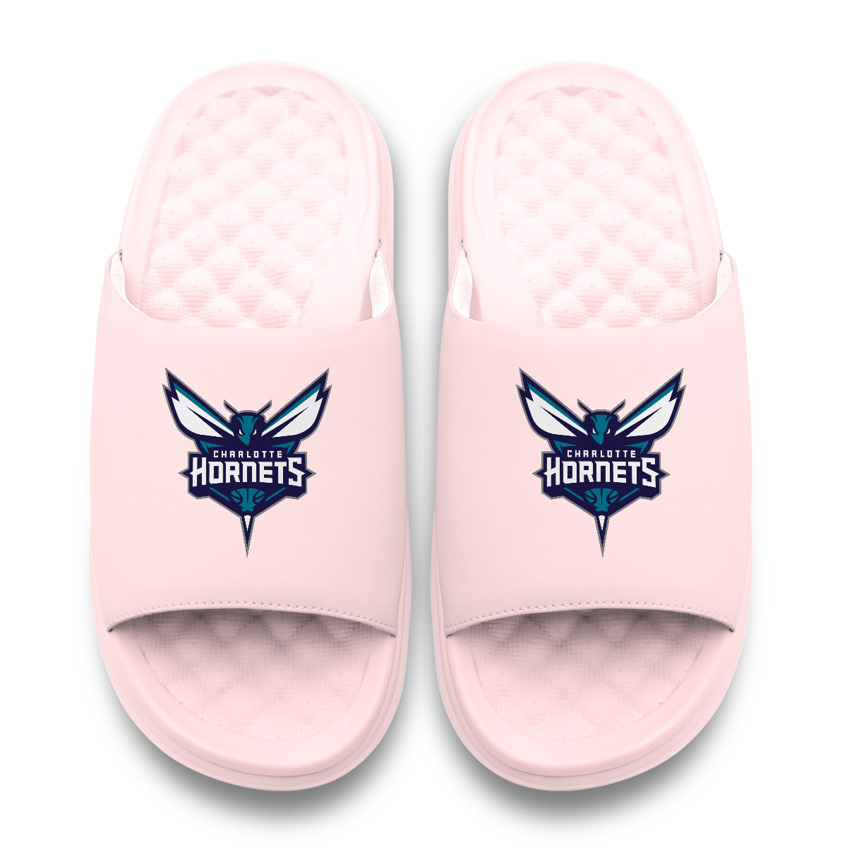 Charlotte Hornets Primary Motive 6