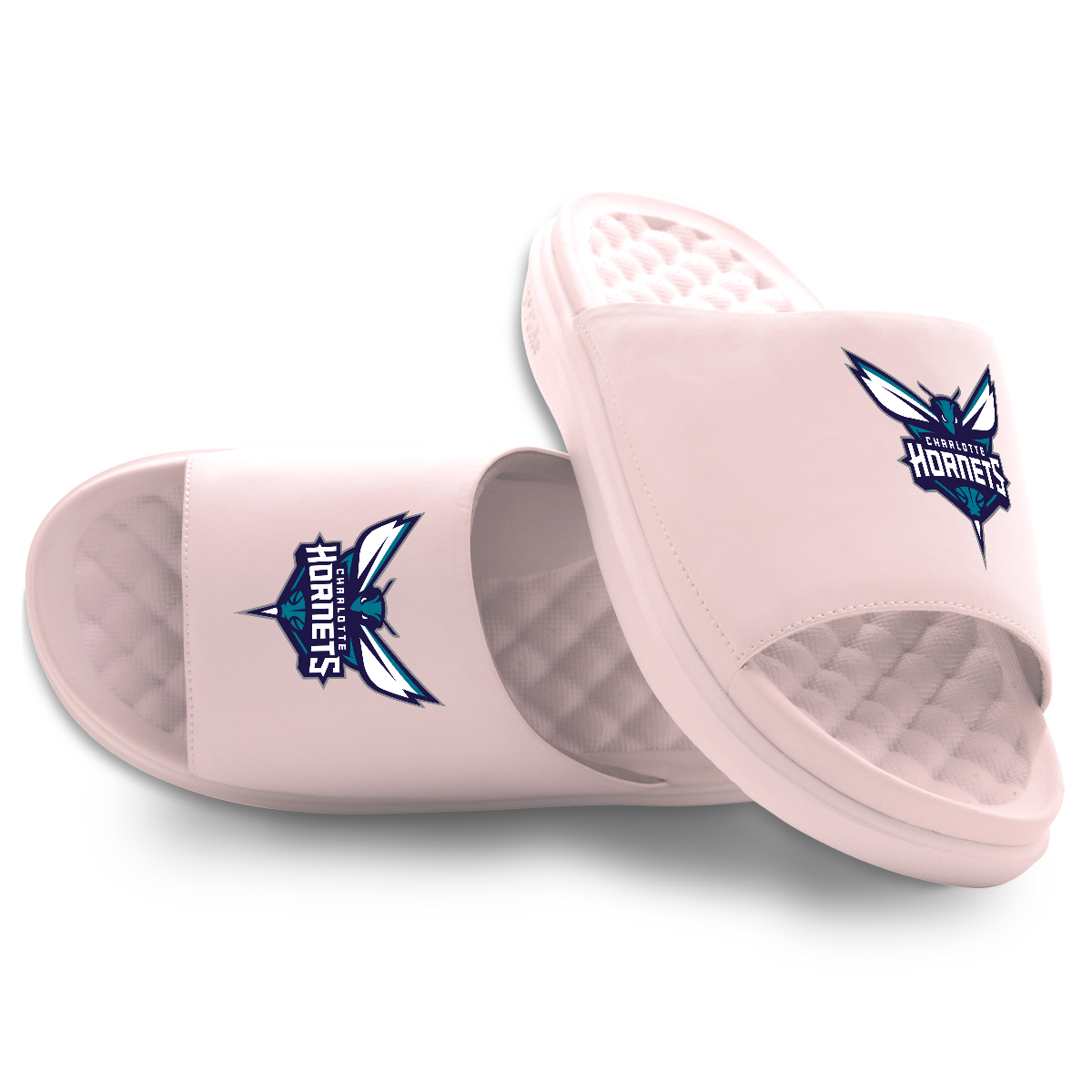 Charlotte Hornets Primary Motive 5