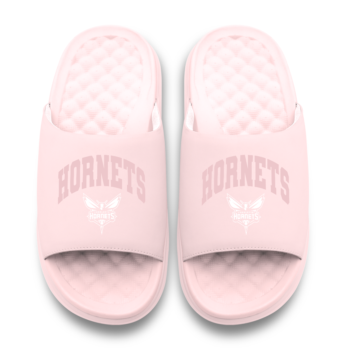 Charlotte Hornets Tonal Pop Motive 11