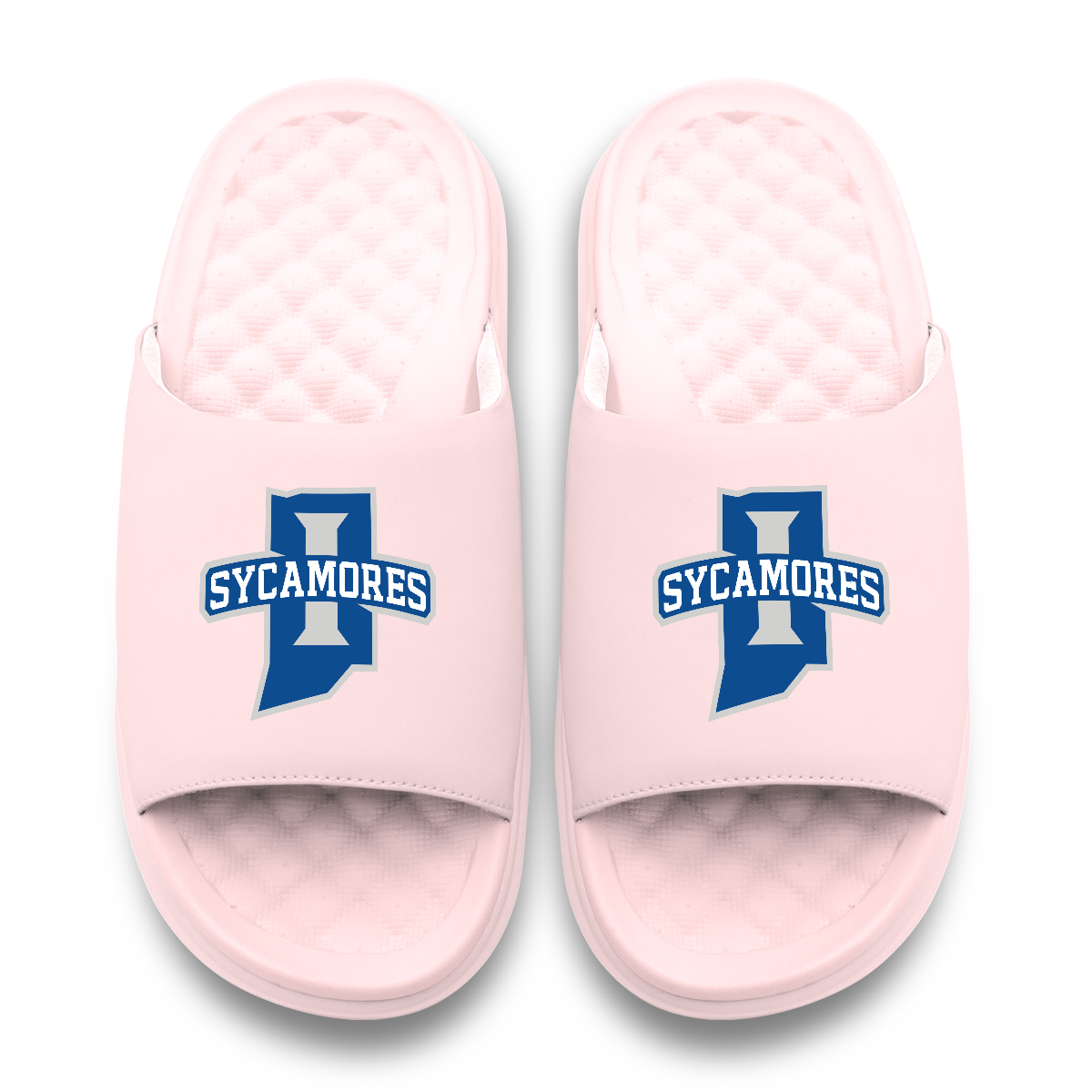 Indiana State Sycamores Primary Motive 6