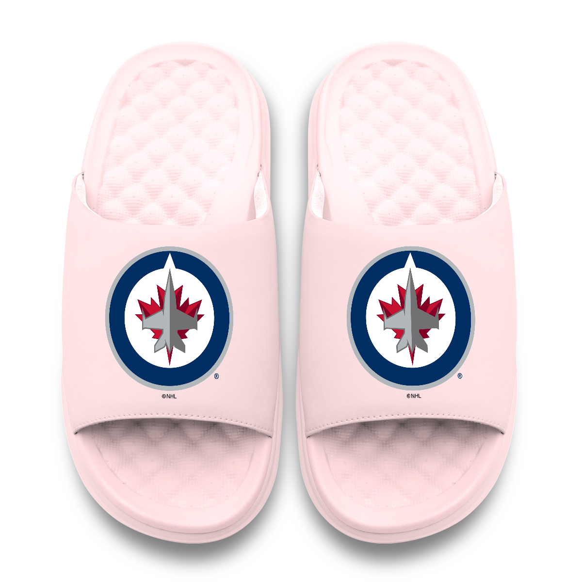 Winnipeg Jets Primary Motive 6