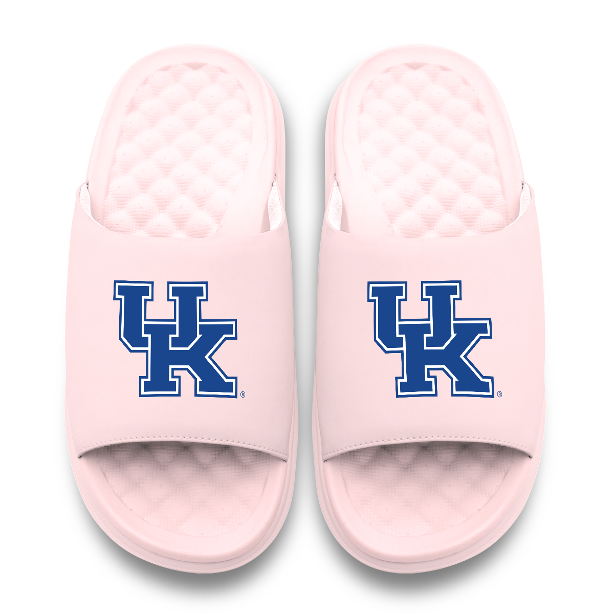 Kentucky Wildcats Primary Motive 6