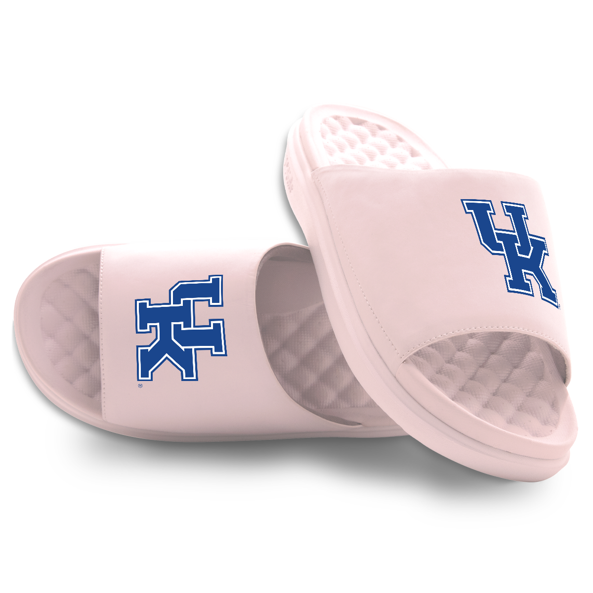Kentucky Wildcats Primary Motive 5