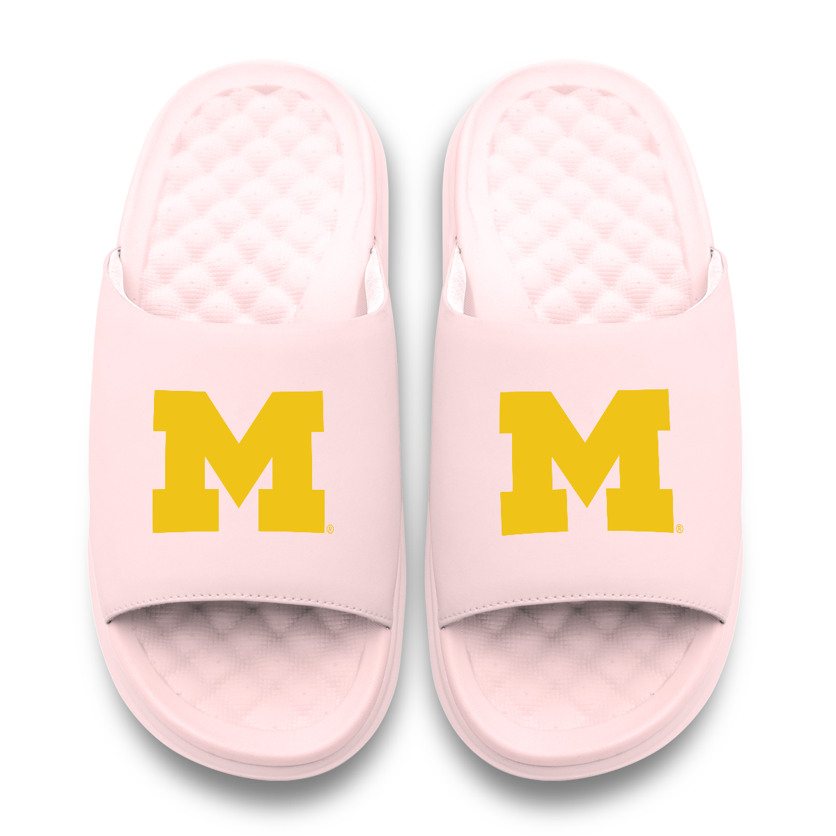 Michigan Wolverines Primary Motive 6