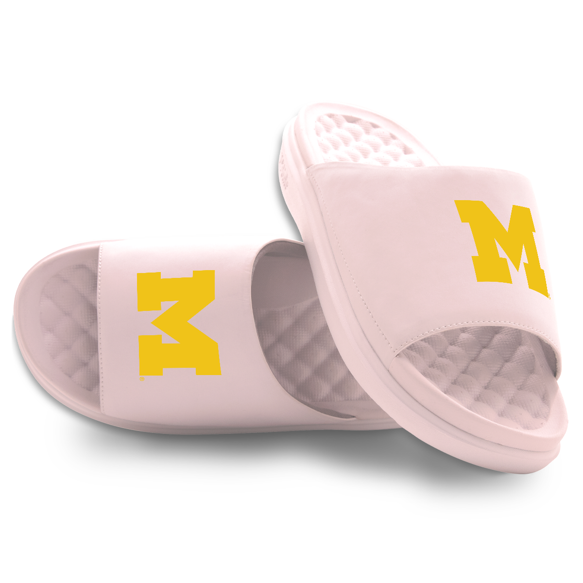 Michigan Wolverines Primary Motive 5