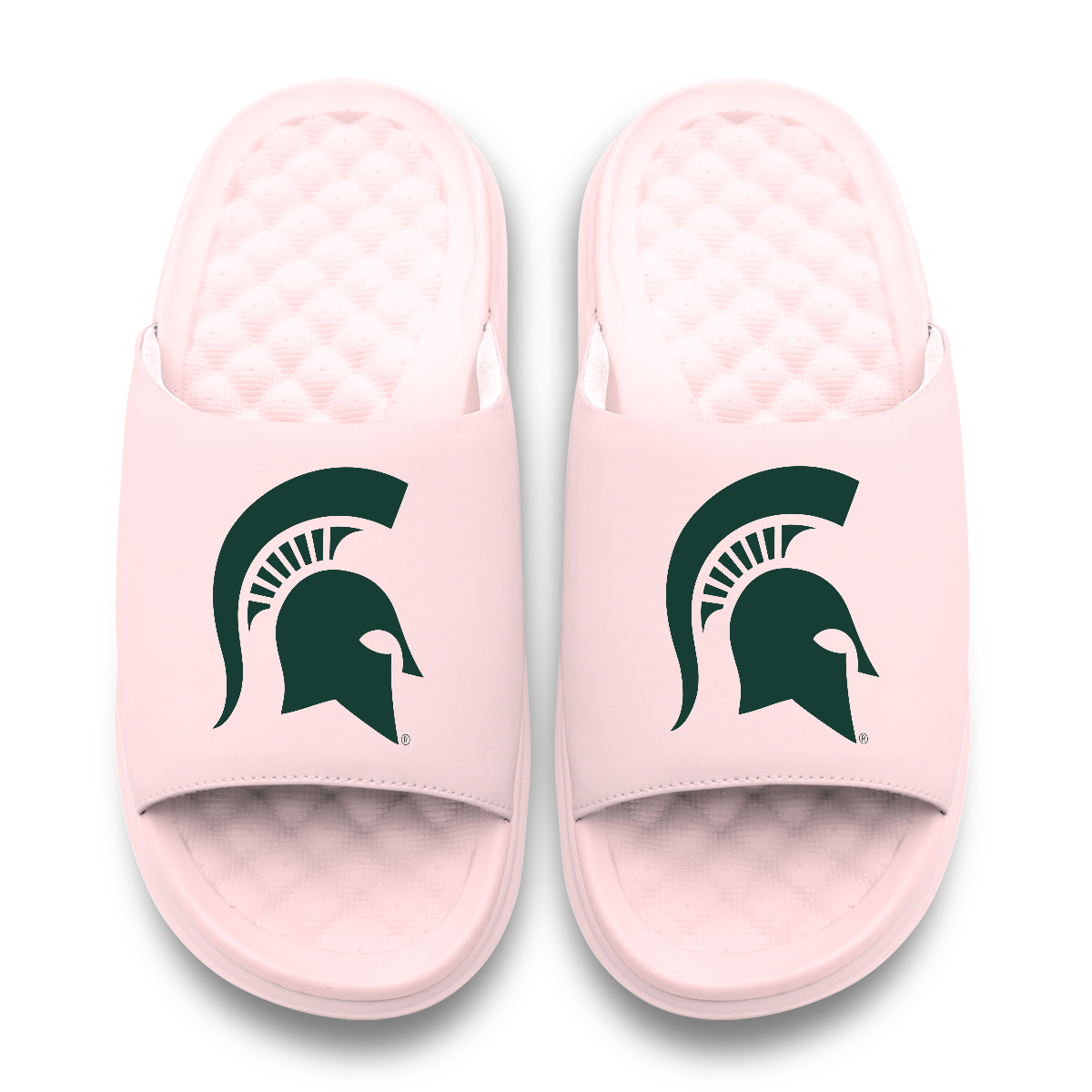 Michigan State Spartans Primary Motive 6