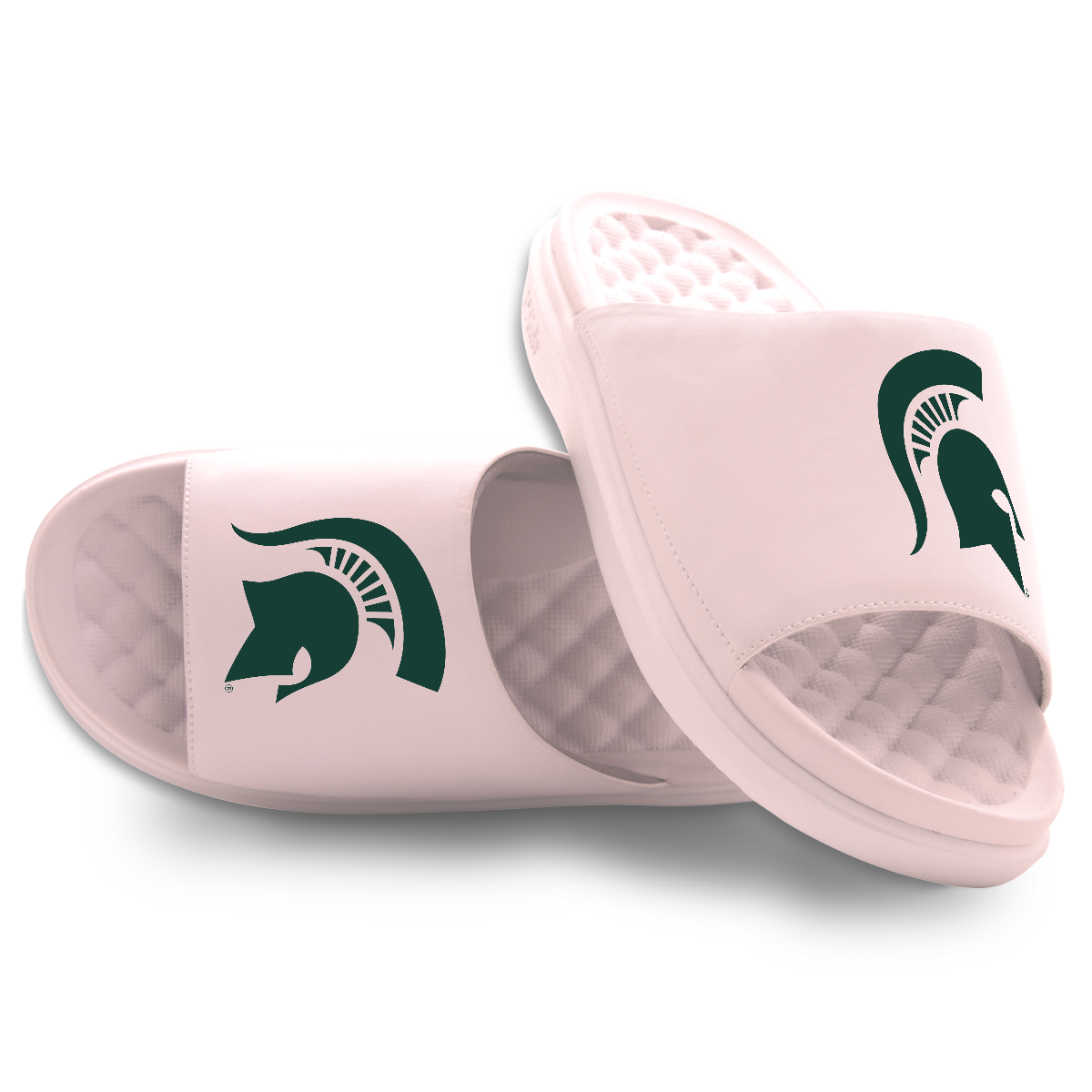 Michigan State Spartans Primary Motive 5