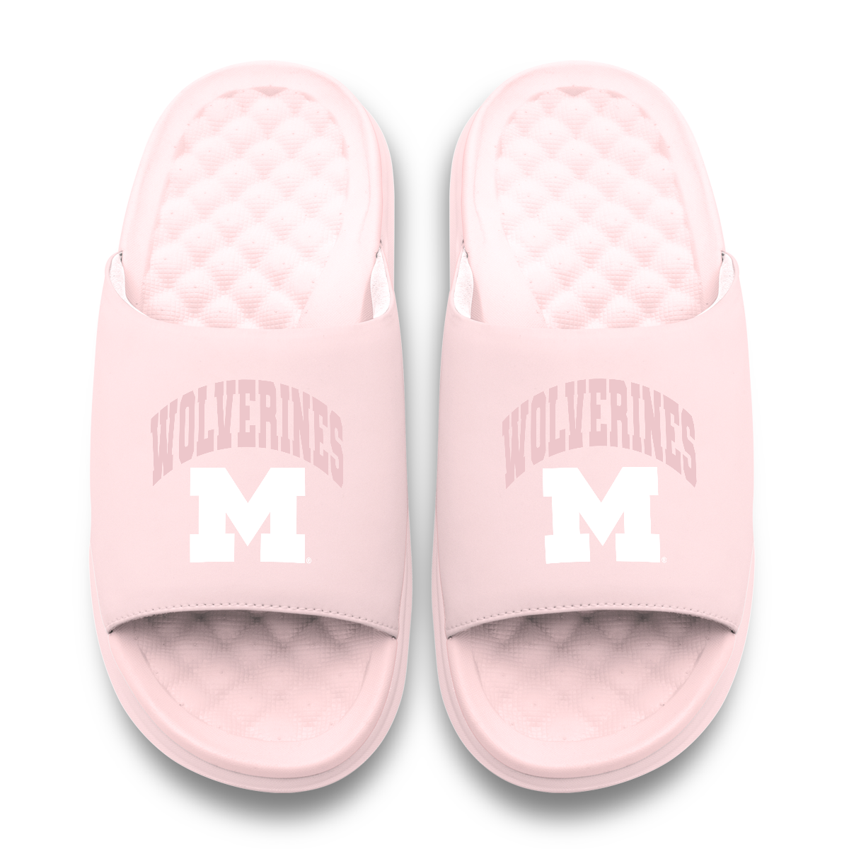 Michigan Wolverines Tonal Pop Motive 11