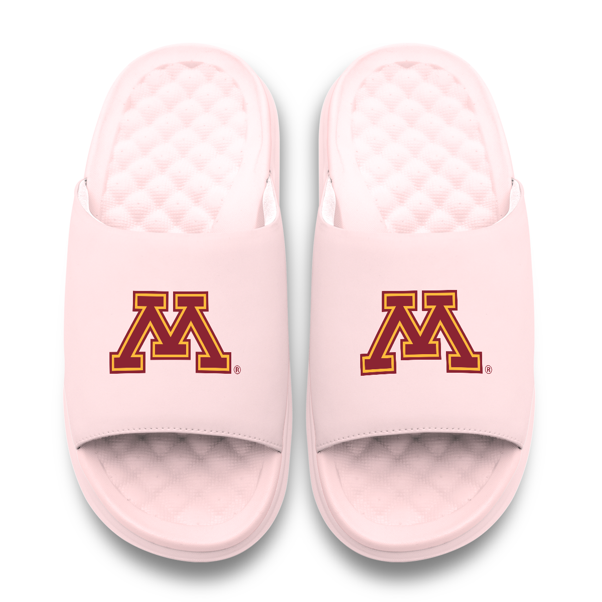 Minnesota Golden Gophers Primary Motive 6