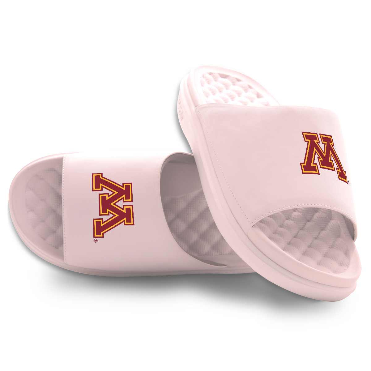 Minnesota Golden Gophers Primary Motive 5