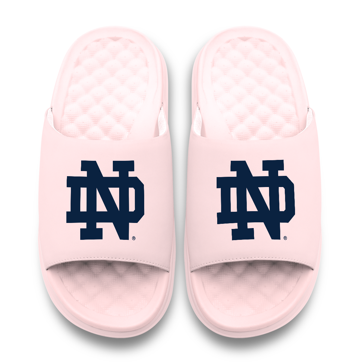 Notre Dame Fighting Irish Primary Motive 6