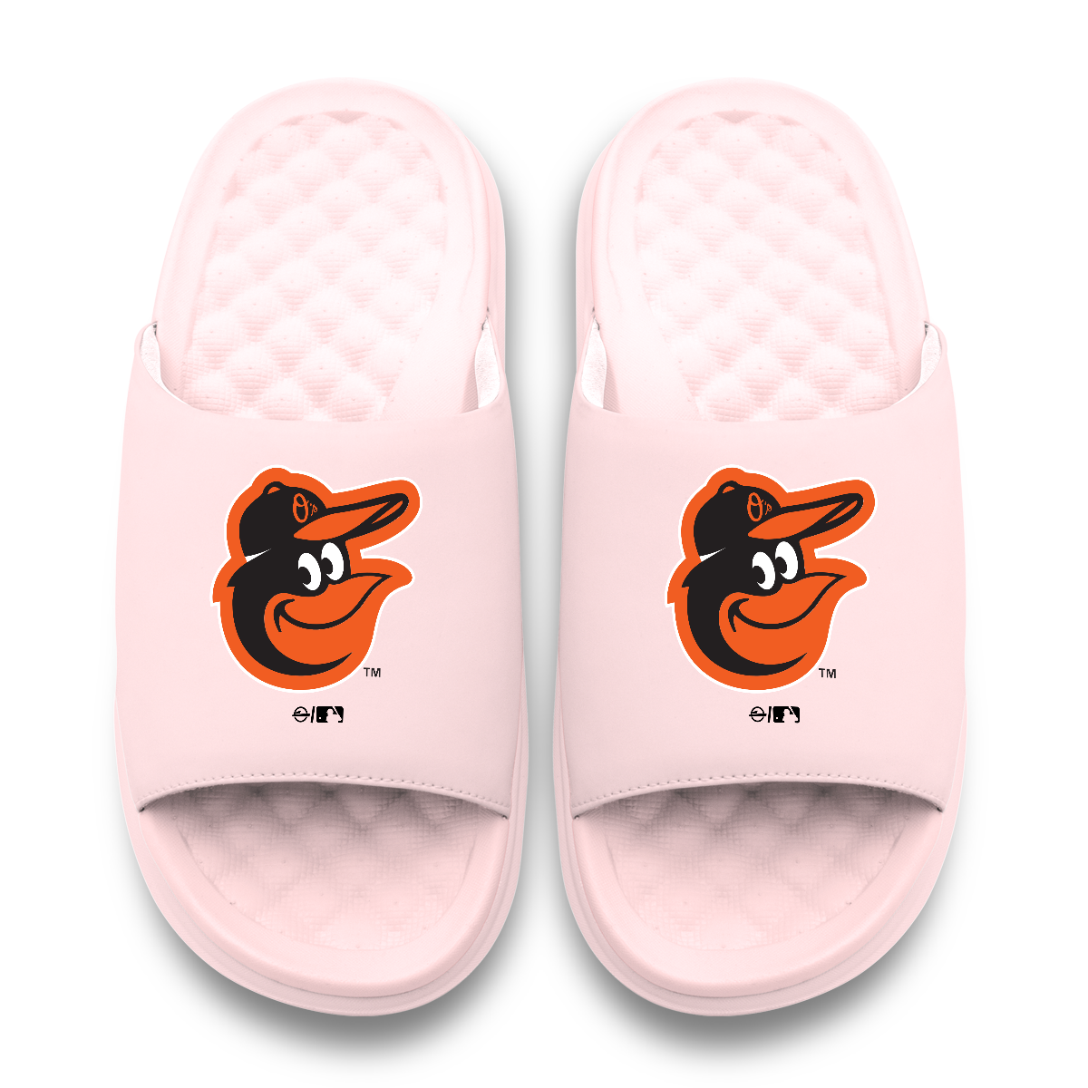 Baltimore Orioles Primary Motive 6