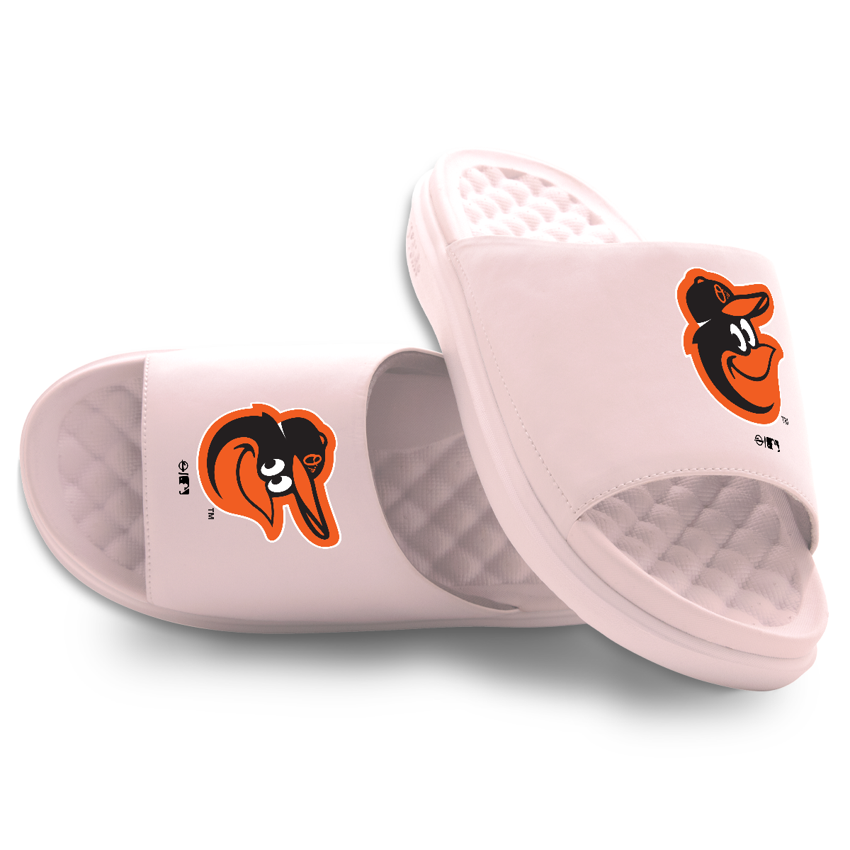 Baltimore Orioles Primary Motive 5