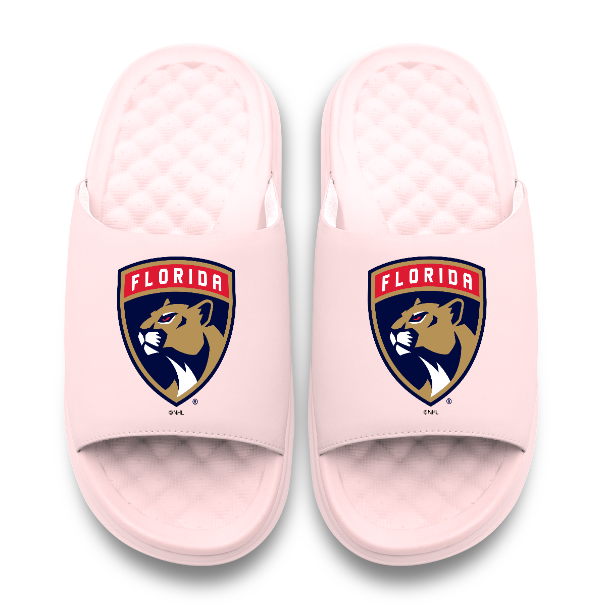 Florida Panthers Primary Motive 6