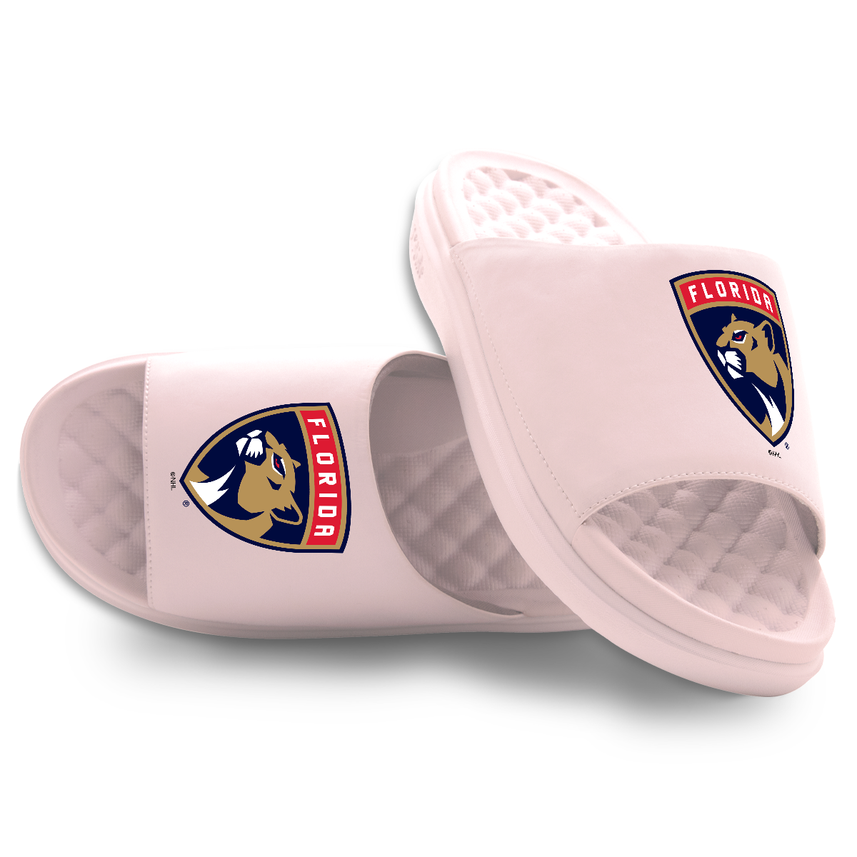 Florida Panthers Primary Motive 5
