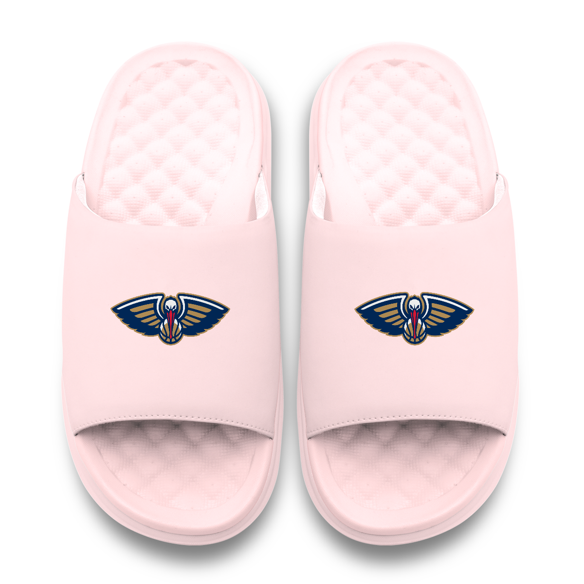 New Orleans Pelicans Primary Motive 6