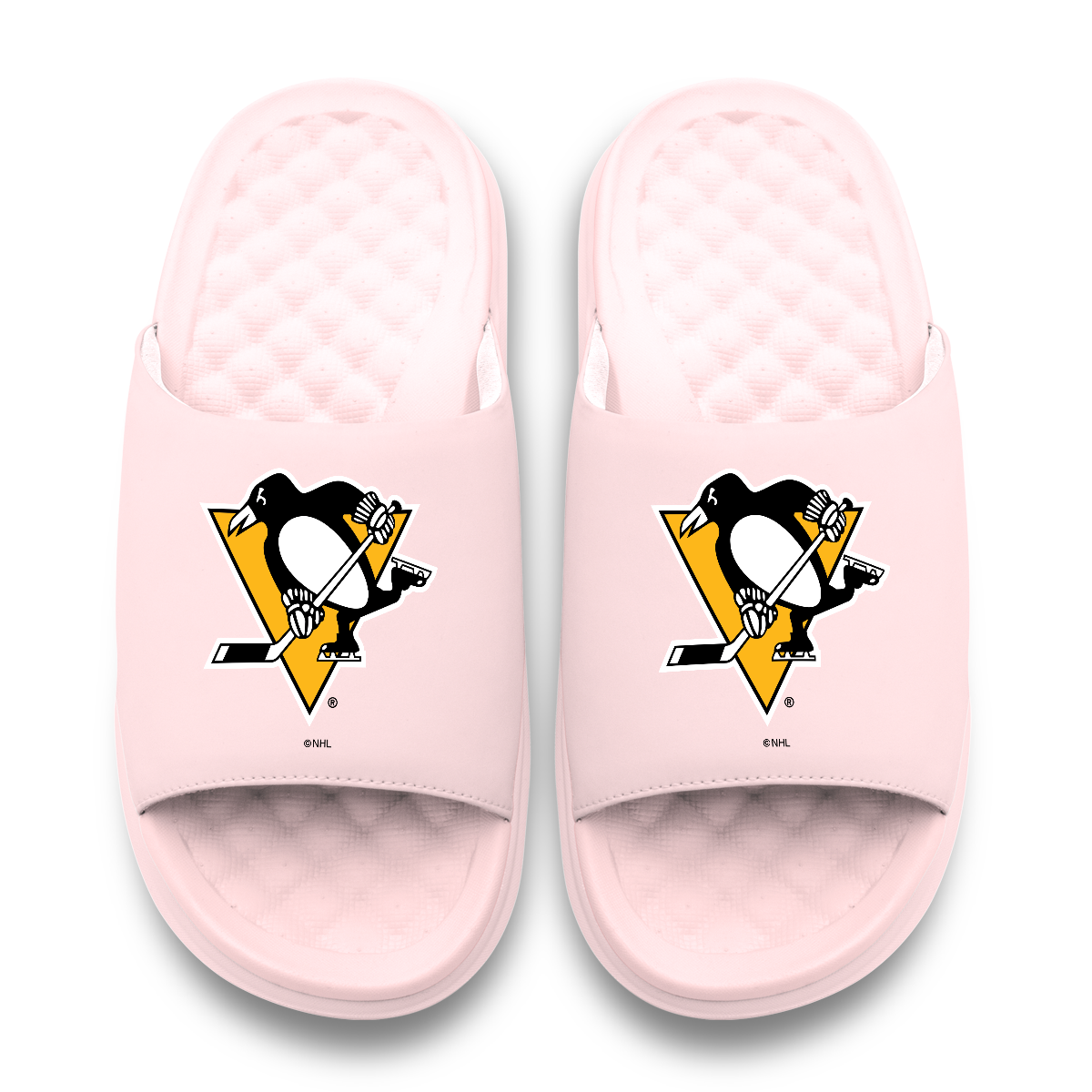 Pittsburgh Penguins Primary Motive 6