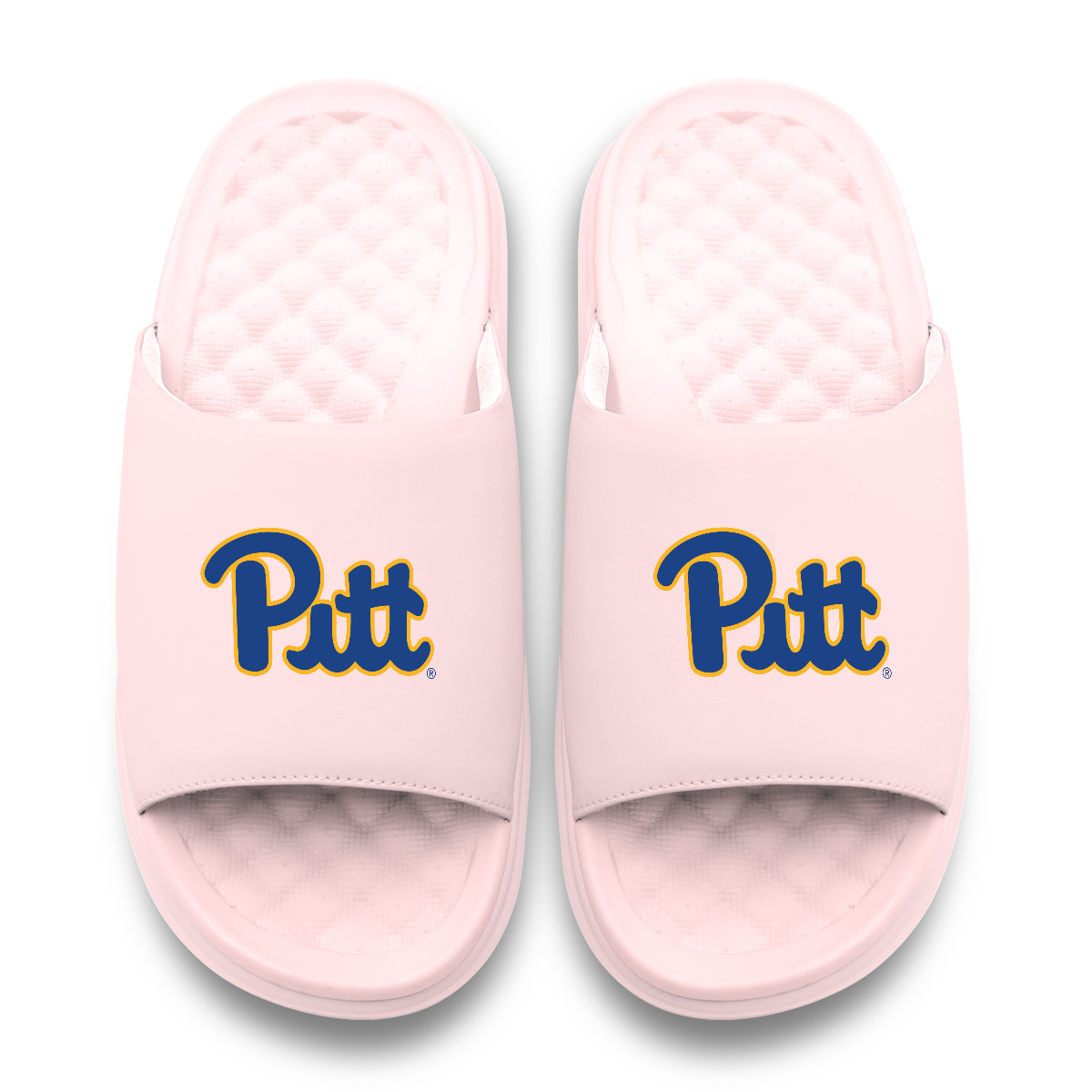 Pitt Panthers Primary Motive 6
