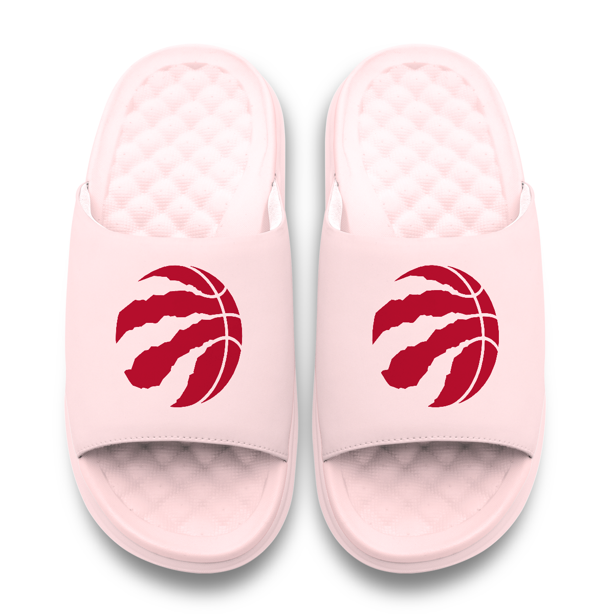 Toronto Raptors Primary Motive 6