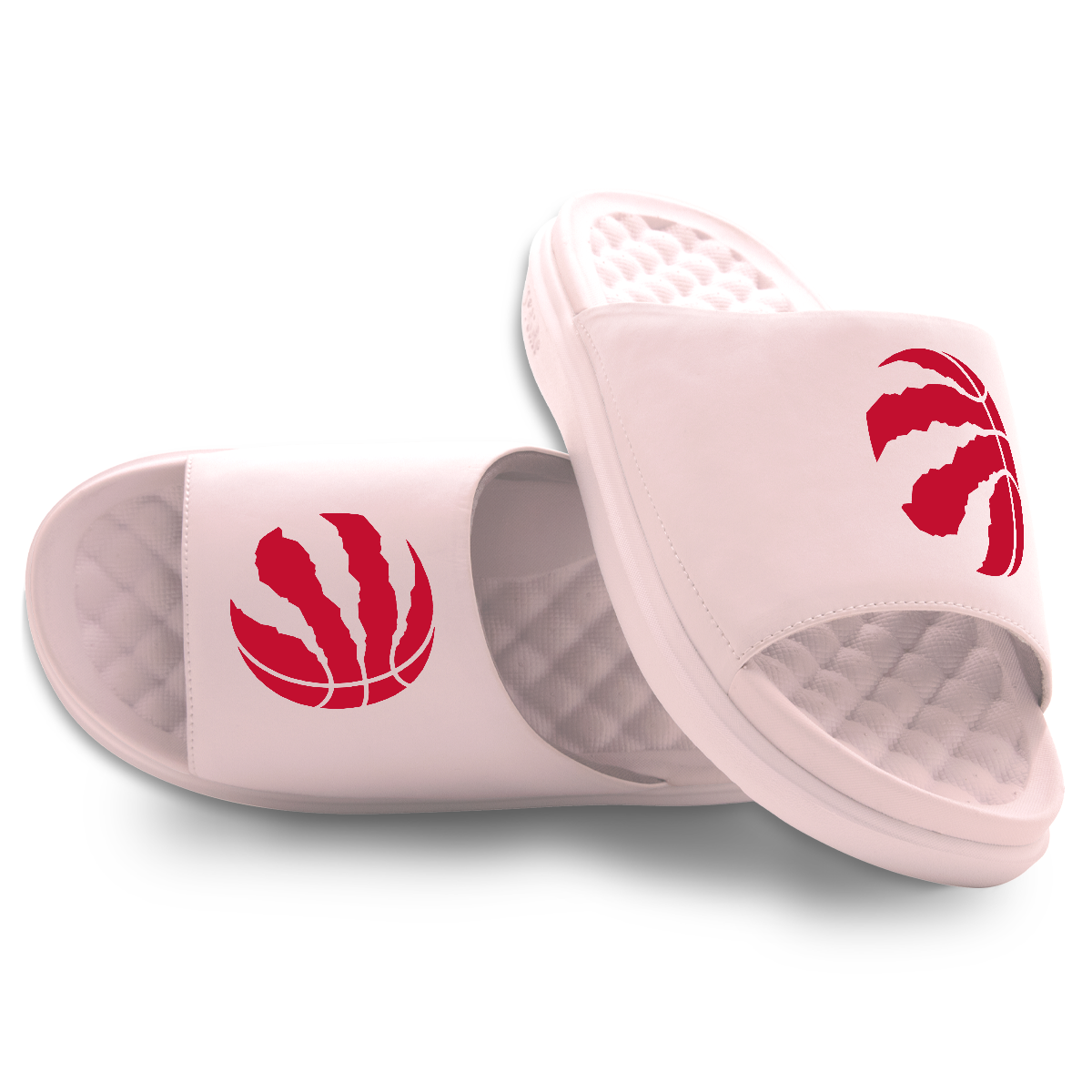Toronto Raptors Primary Motive 5