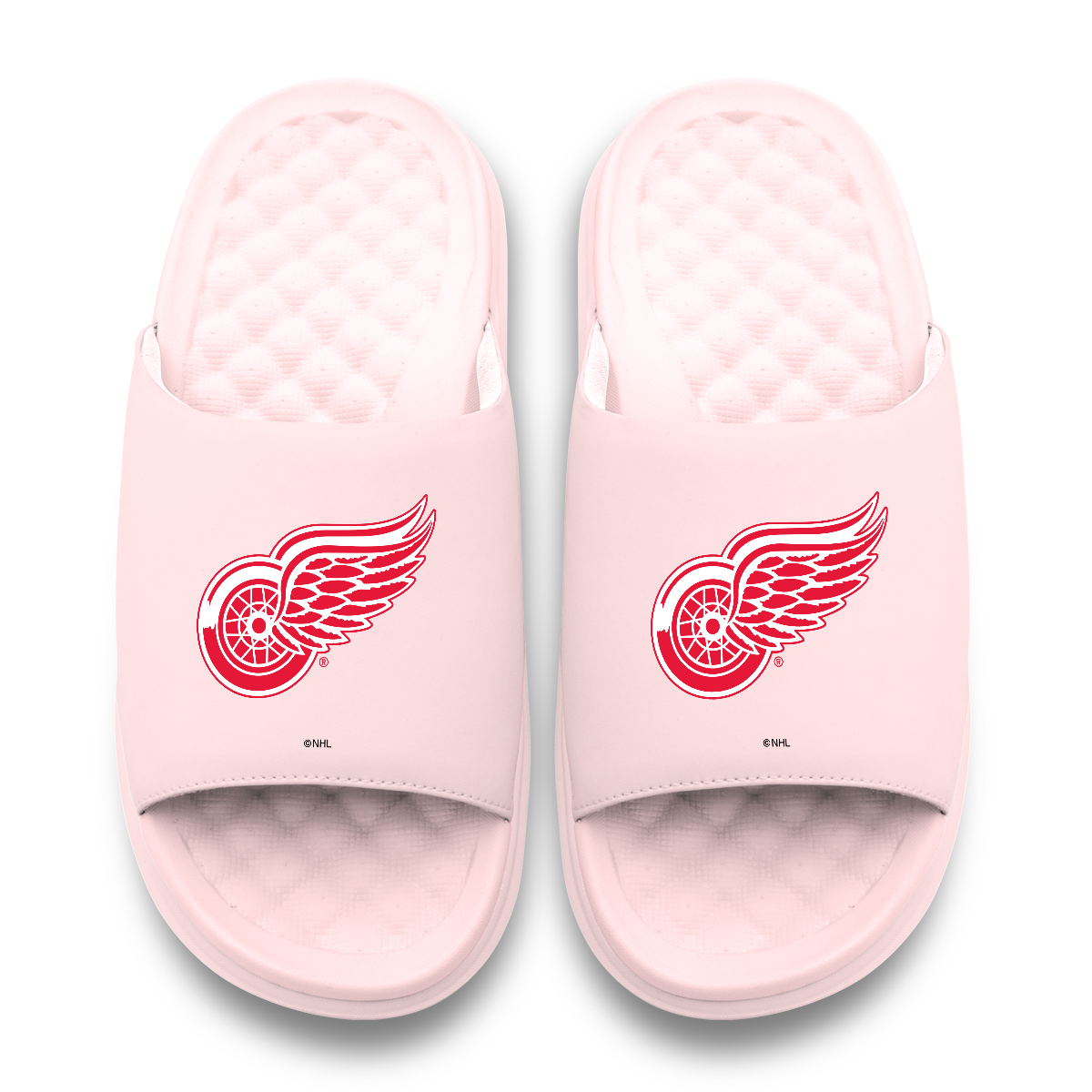 Detroit Red Wings Primary Motive 7
