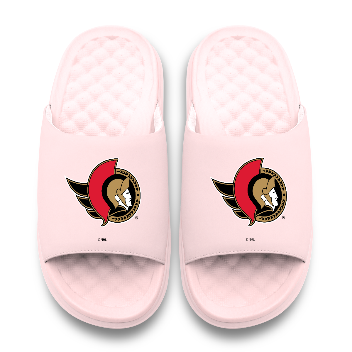 Ottawa Senators Primary Motive 6