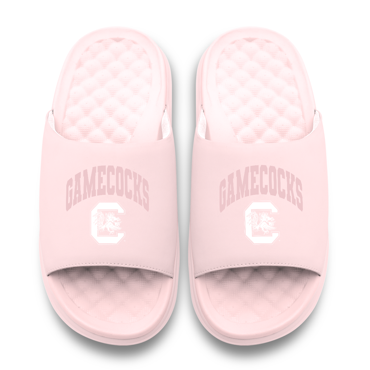South Carolina Gamecocks Tonal Pop Motive 11
