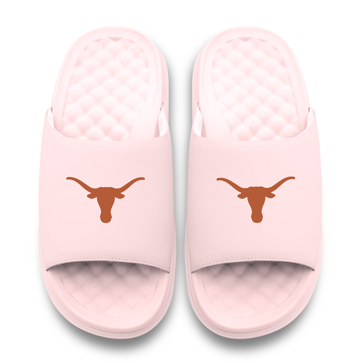 Texas Longhorns Primary Motive 6
