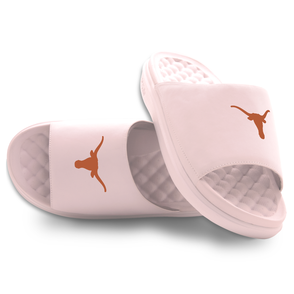 Texas Longhorns Primary Motive 5