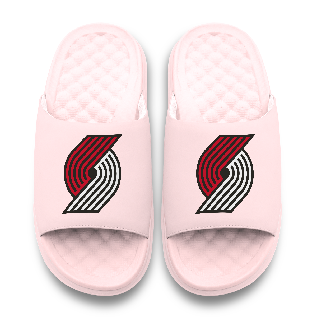 Portland Trail Blazers Primary Motive 6