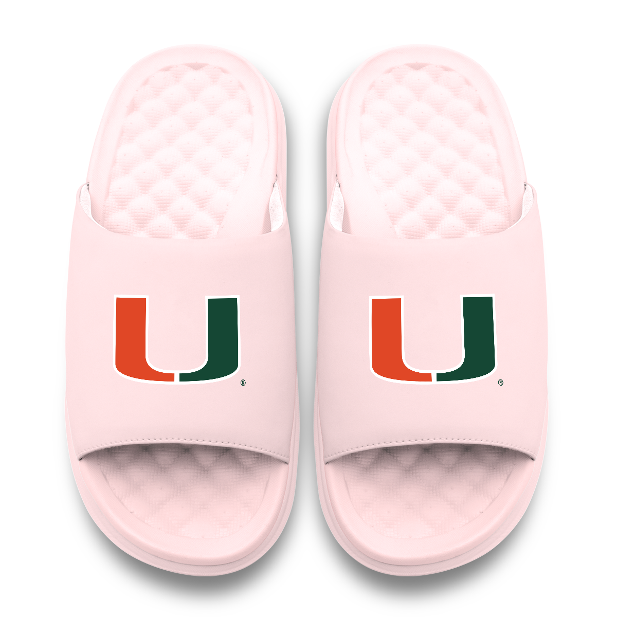 Miami Hurricanes Primary Motive 5
