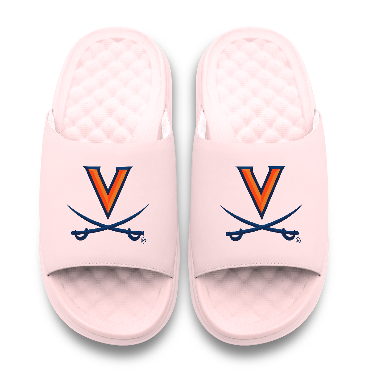 Virginia Cavaliers Primary Motive 6
