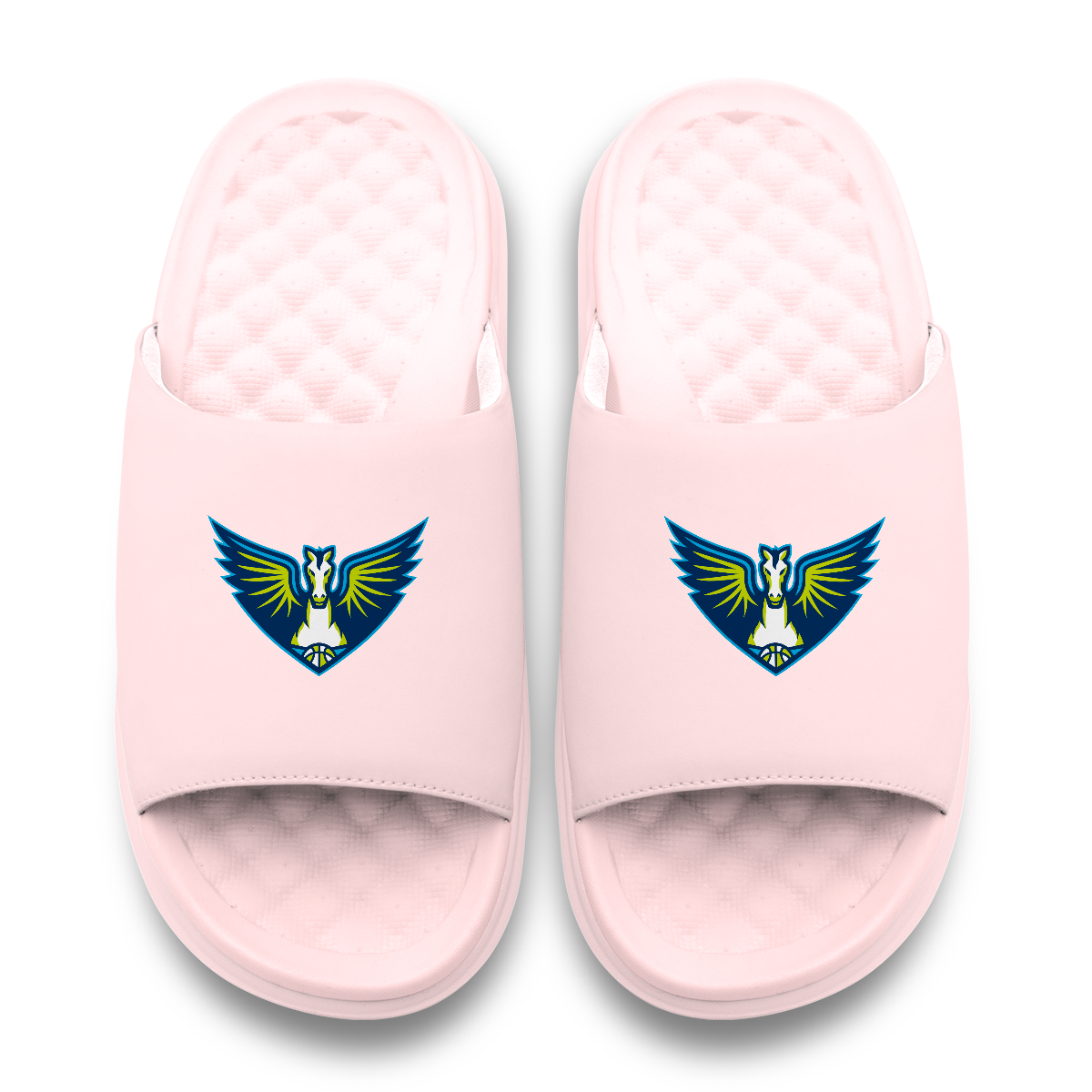 Dallas Wings Primary Motive 6