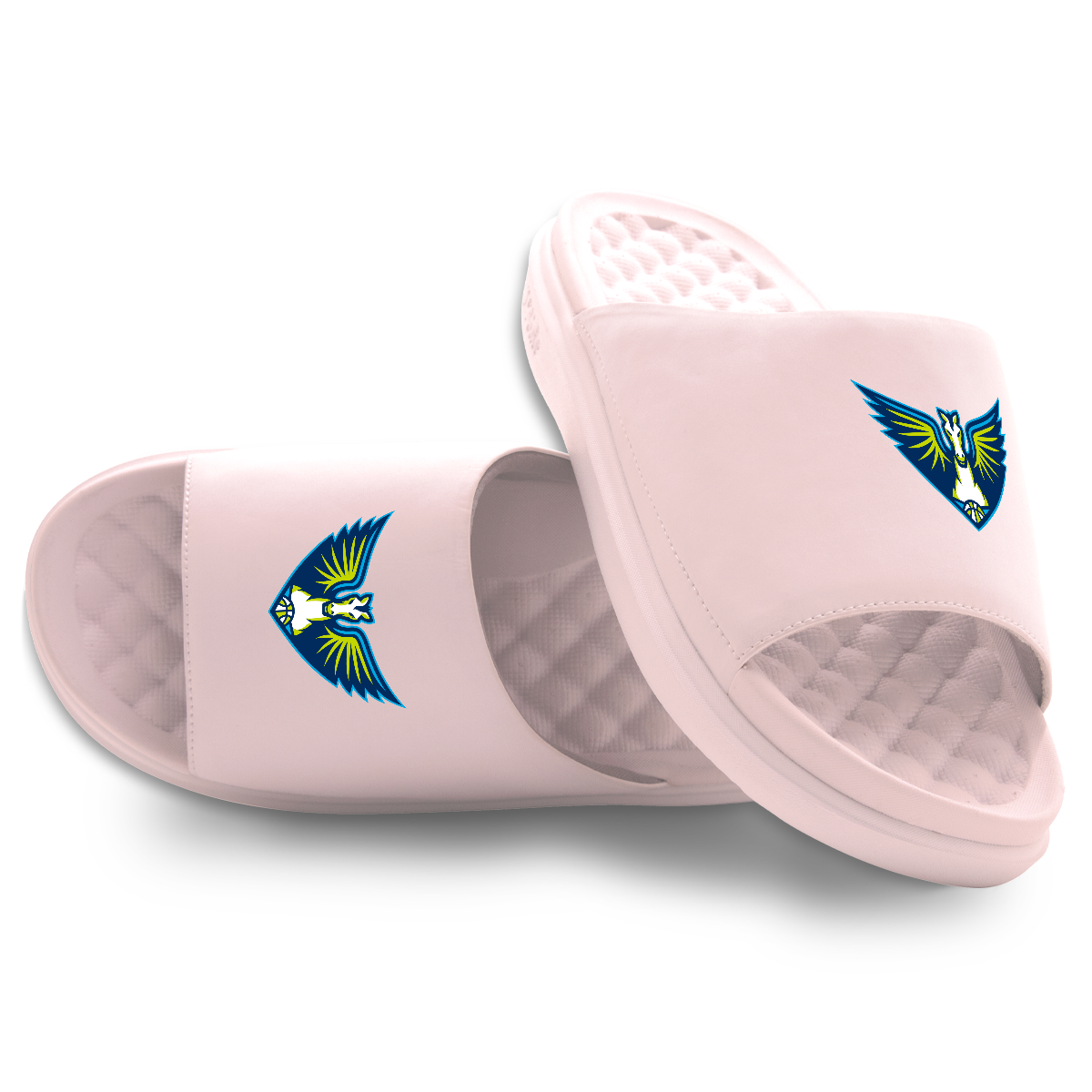 Dallas Wings Primary Motive 5