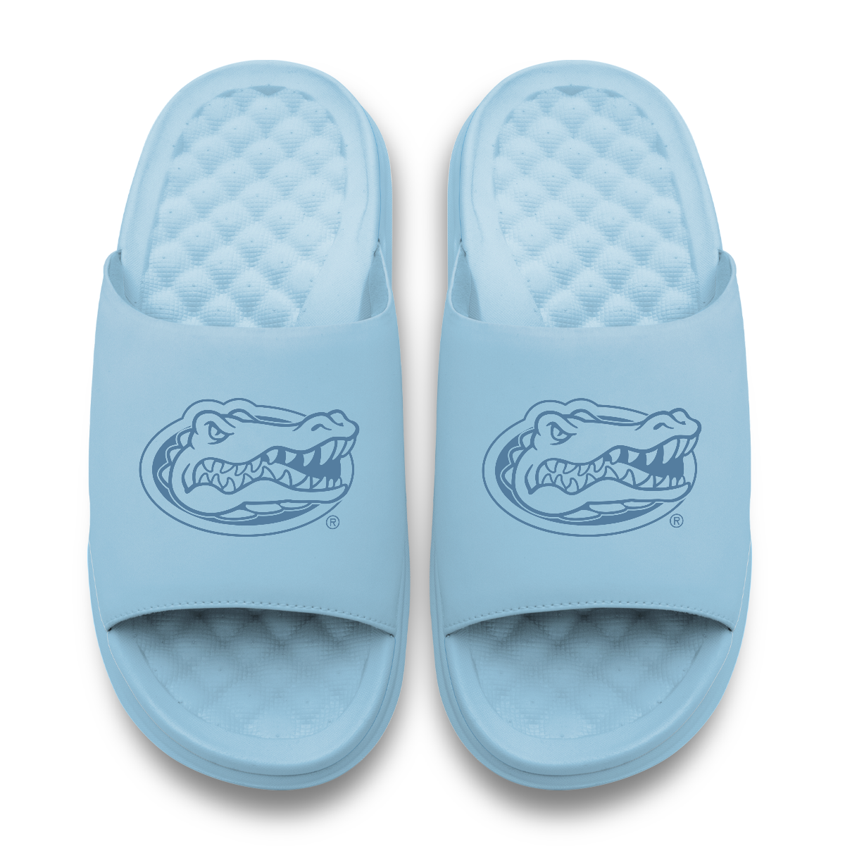 Florida Gators Tonal Logo 7