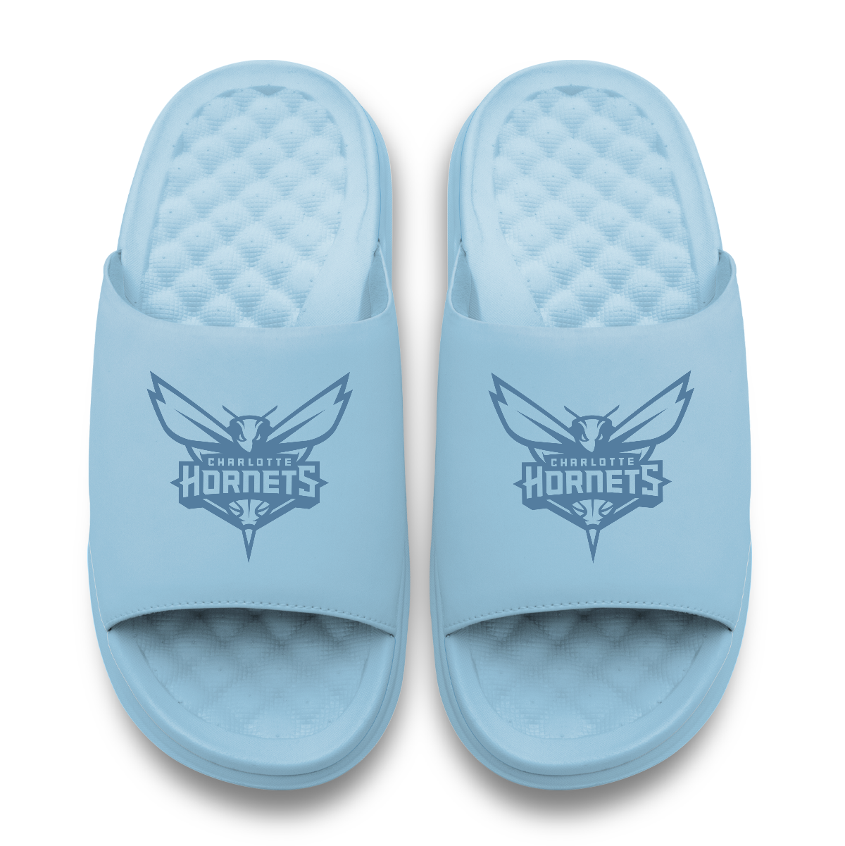 Charlotte Hornets Tonal Logo 2