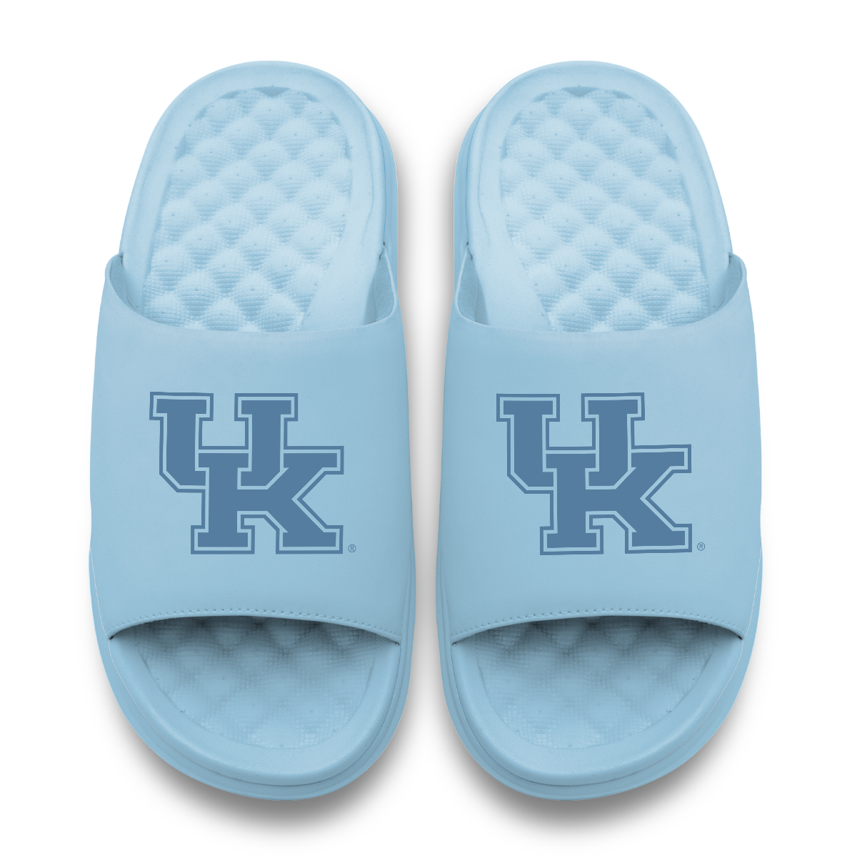 Kentucky Wildcats Tonal Logo 7