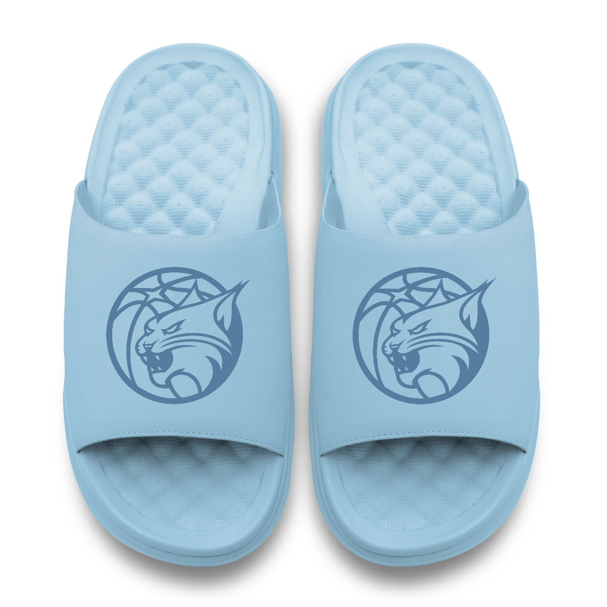 Minnesota Lynx Tonal Logo 7