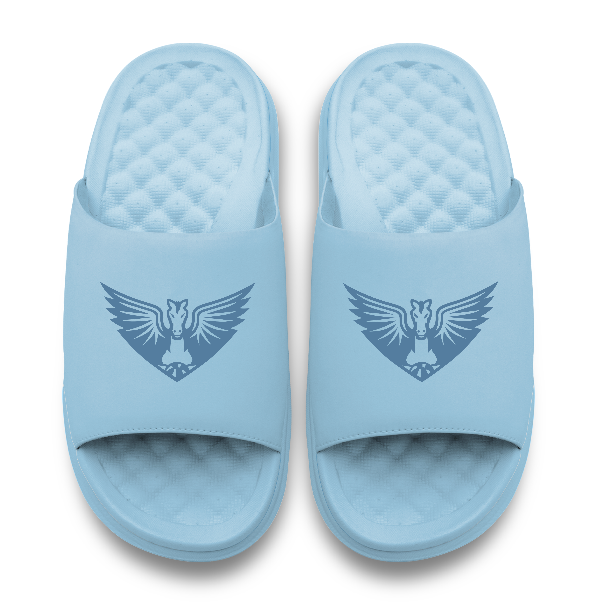 Dallas Wings Tonal Logo 7