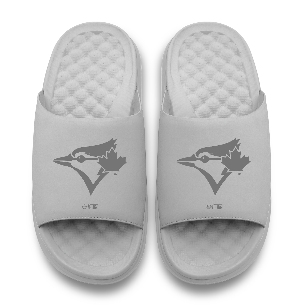 Toronto Blue Jays Tonal Logo 7