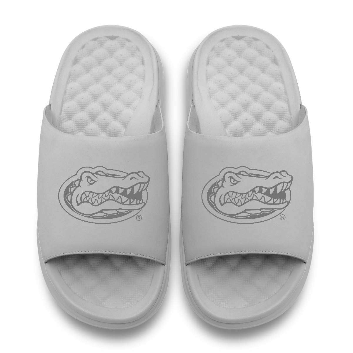 Florida Gators Tonal Logo 2