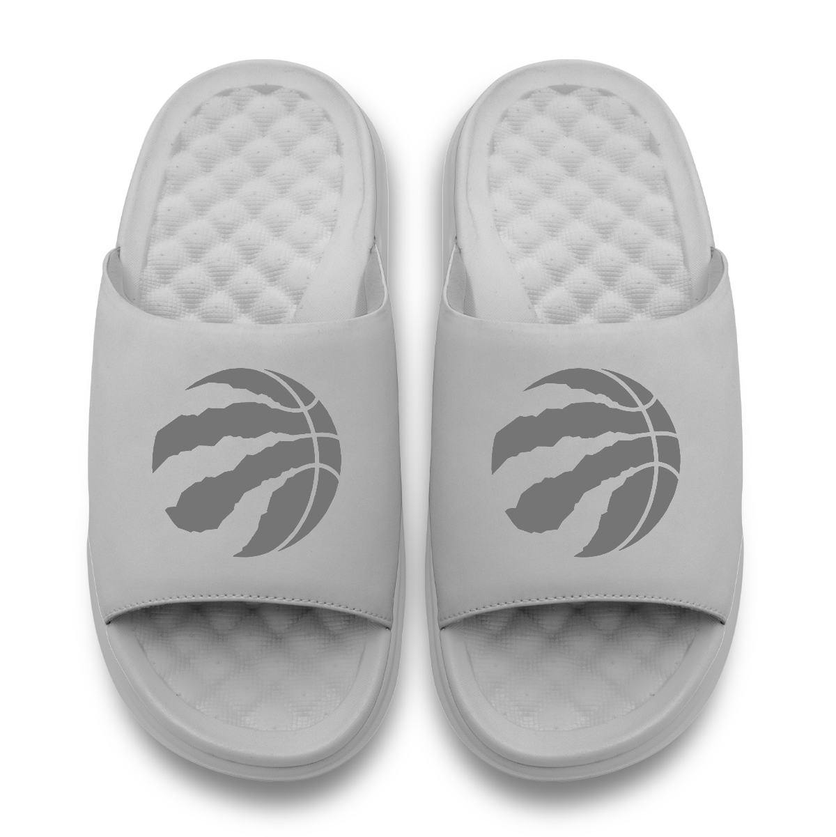 Toronto Raptors Tonal Logo 2