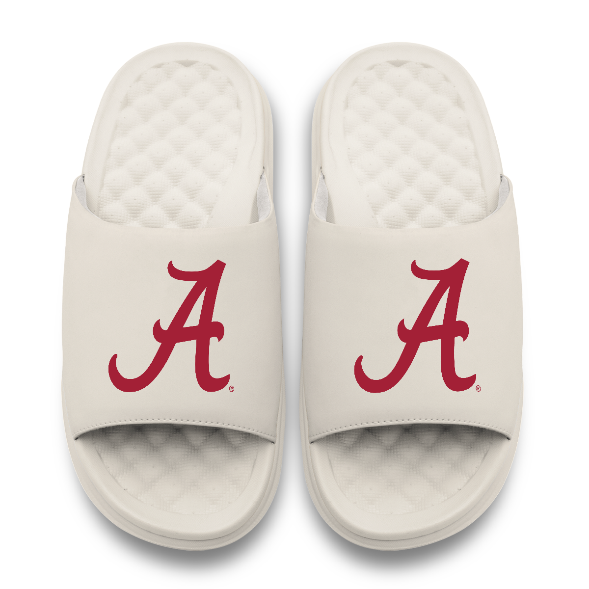Alabama Crimson Tide Primary Motive 17