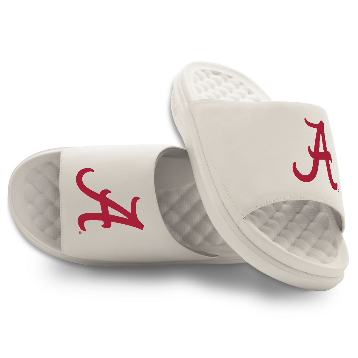 Alabama Crimson Tide Primary Motive 16