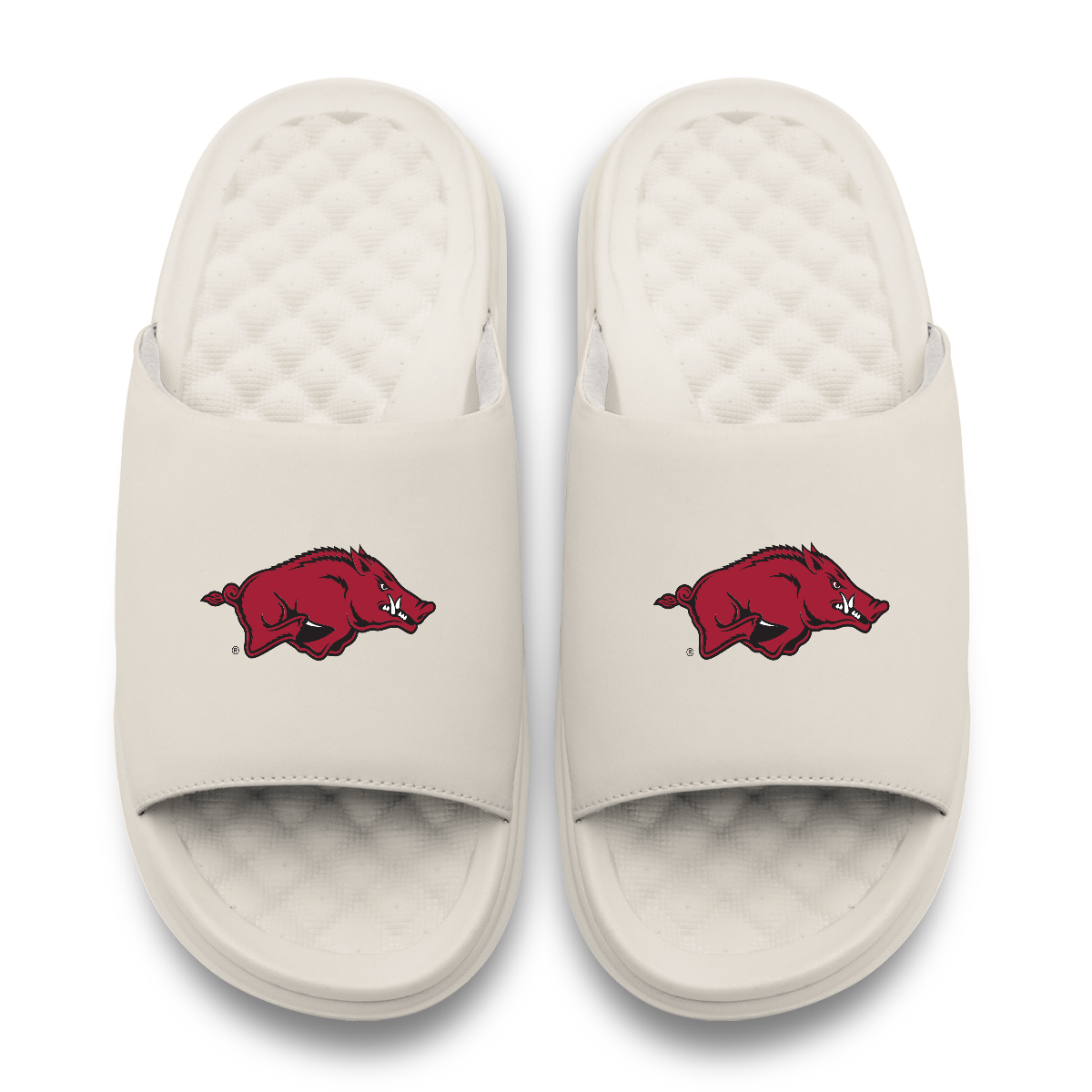 Arkansas Razorbacks Primary Motive 17
