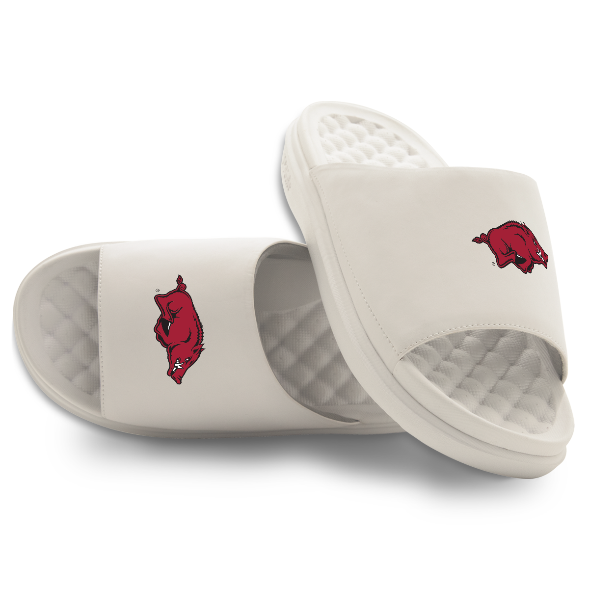 Arkansas Razorbacks Primary Motive 16