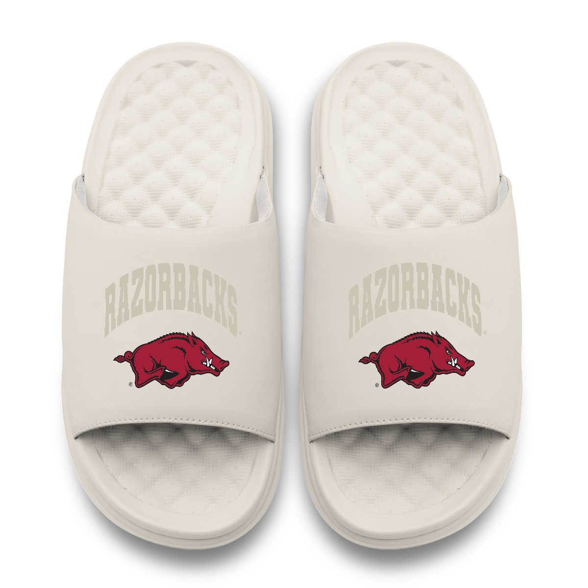Arkansas Razorbacks Tonal Pop Motive 5