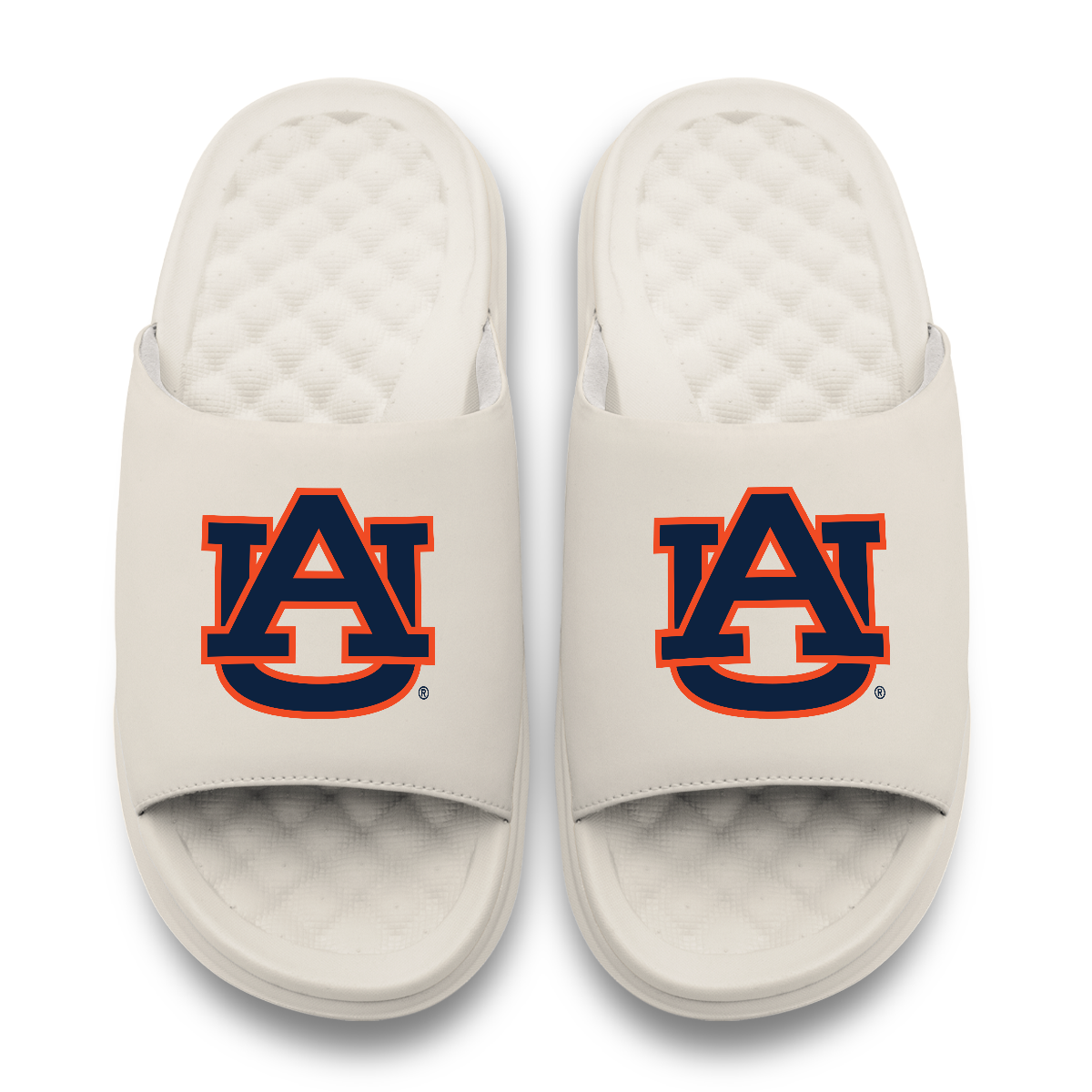 Auburn Tigers Primary Motive 17